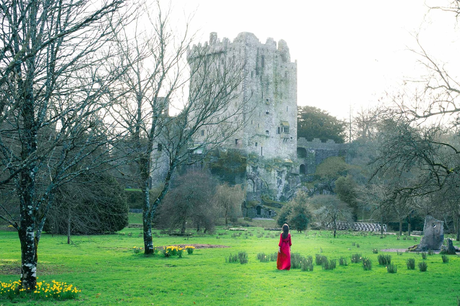 viej familiar Irlanda