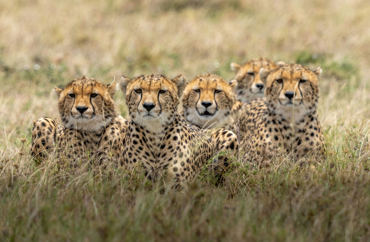 gran aventura en kenya
