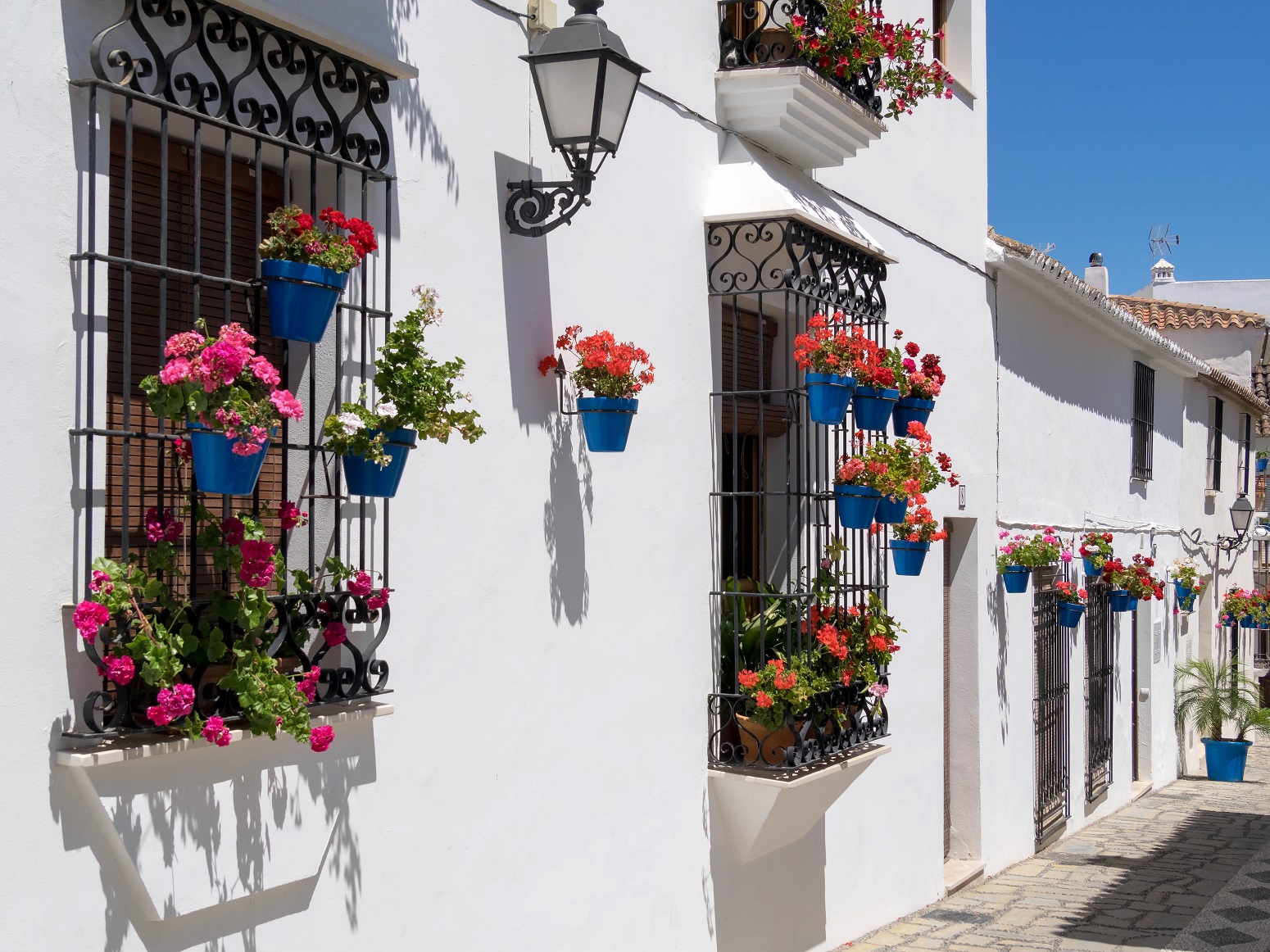 estepona selwo lodge