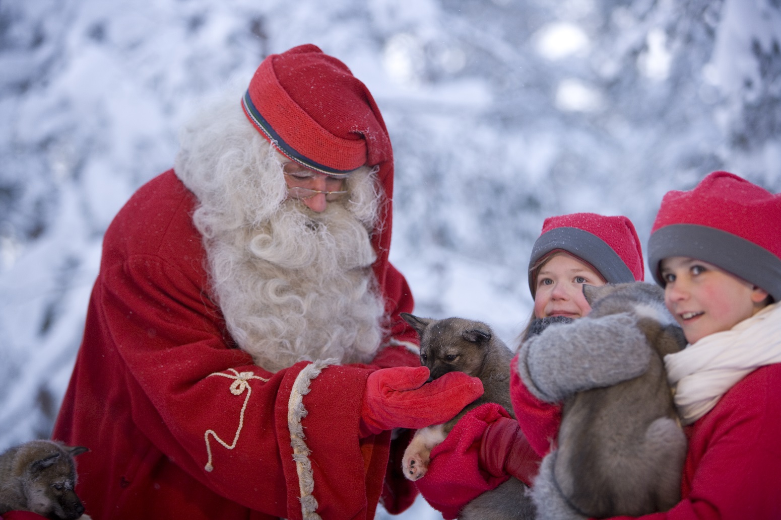 viajes a laponia en navidad