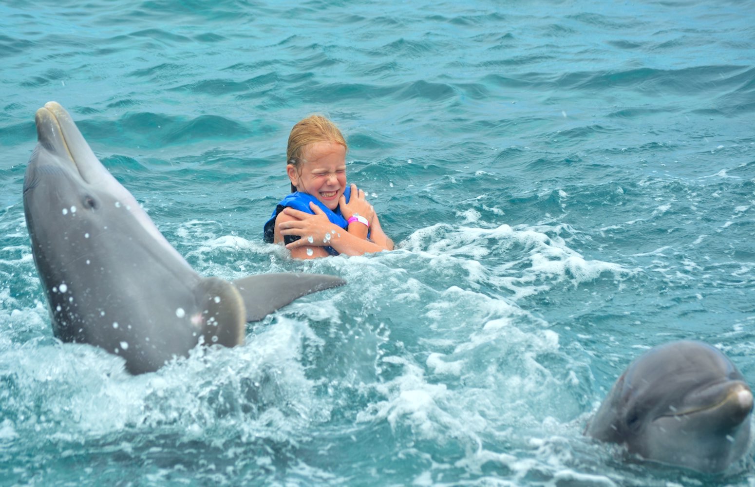 excursión con delfines