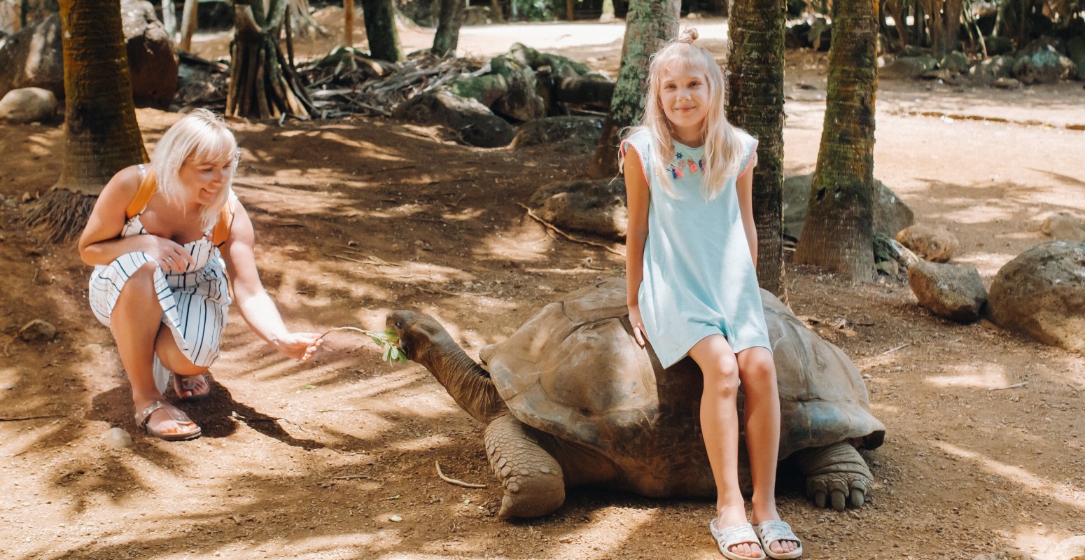 tortugas gigantes en isla mauricio