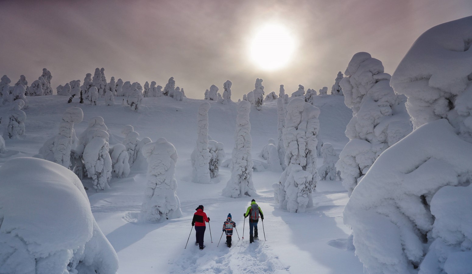 salla viaje a laponia