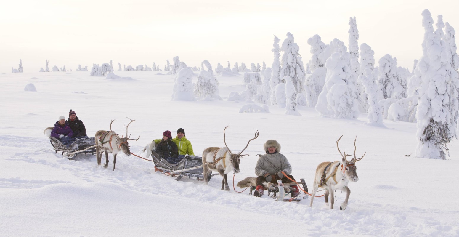 salla navidad en laponia