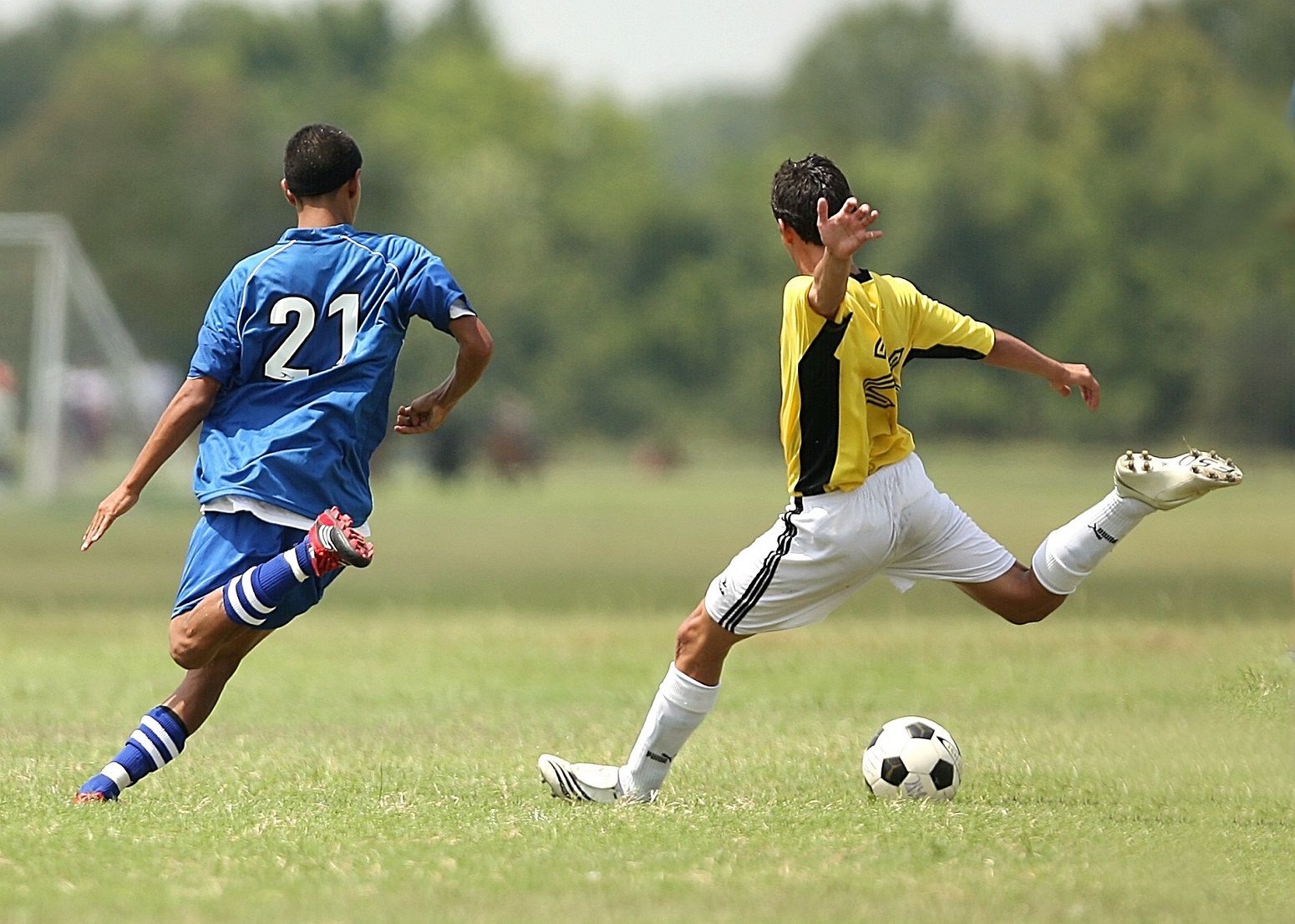 xports xperts representacion futbolistas