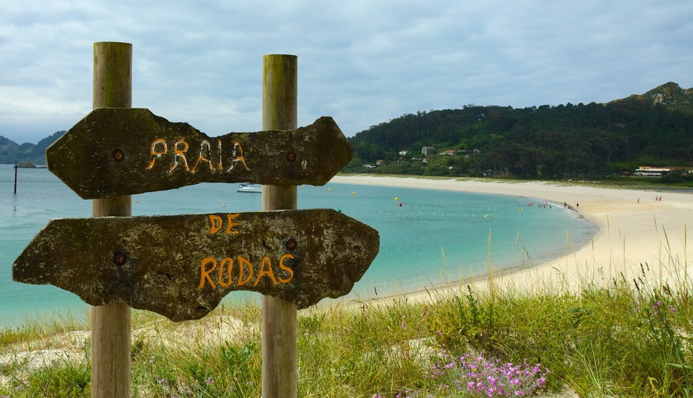 Bienvenida rodas