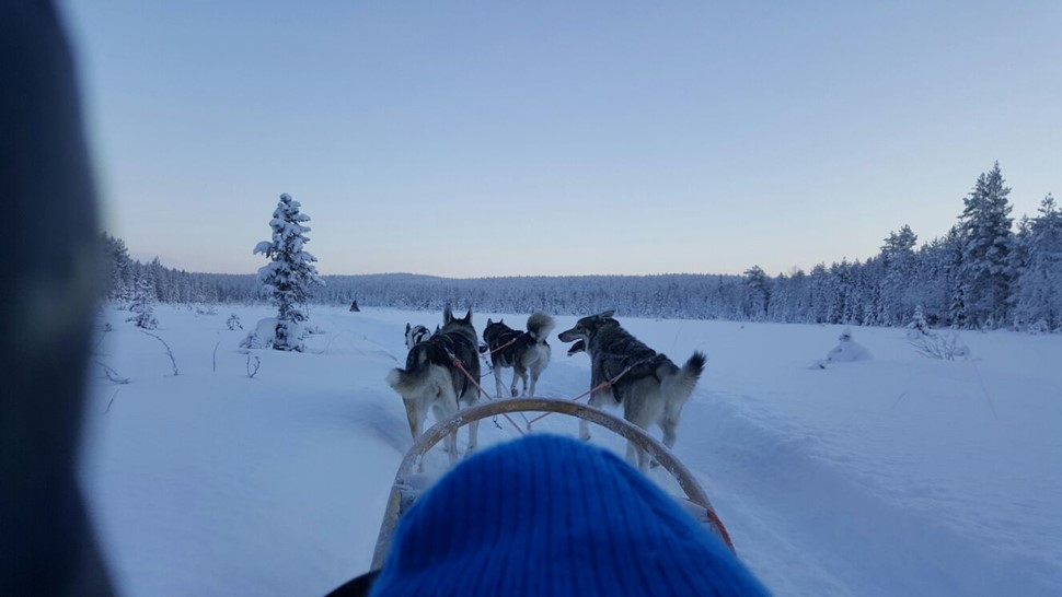 Daniel R Diciembre Ruka 2016