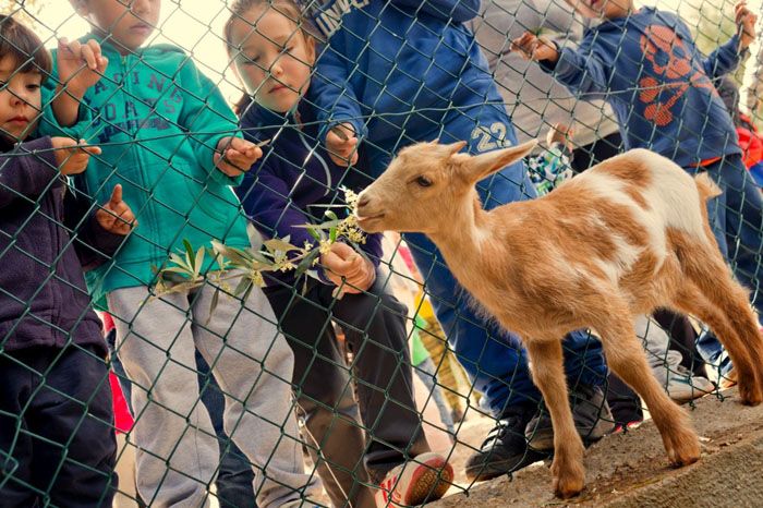 vacaciones para niños semana santa 2015 vilars rural