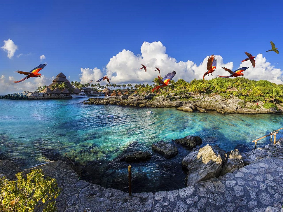 xcaretcancun 55