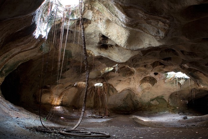 cueva ambrosio 2018
