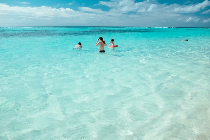 familia puntacana