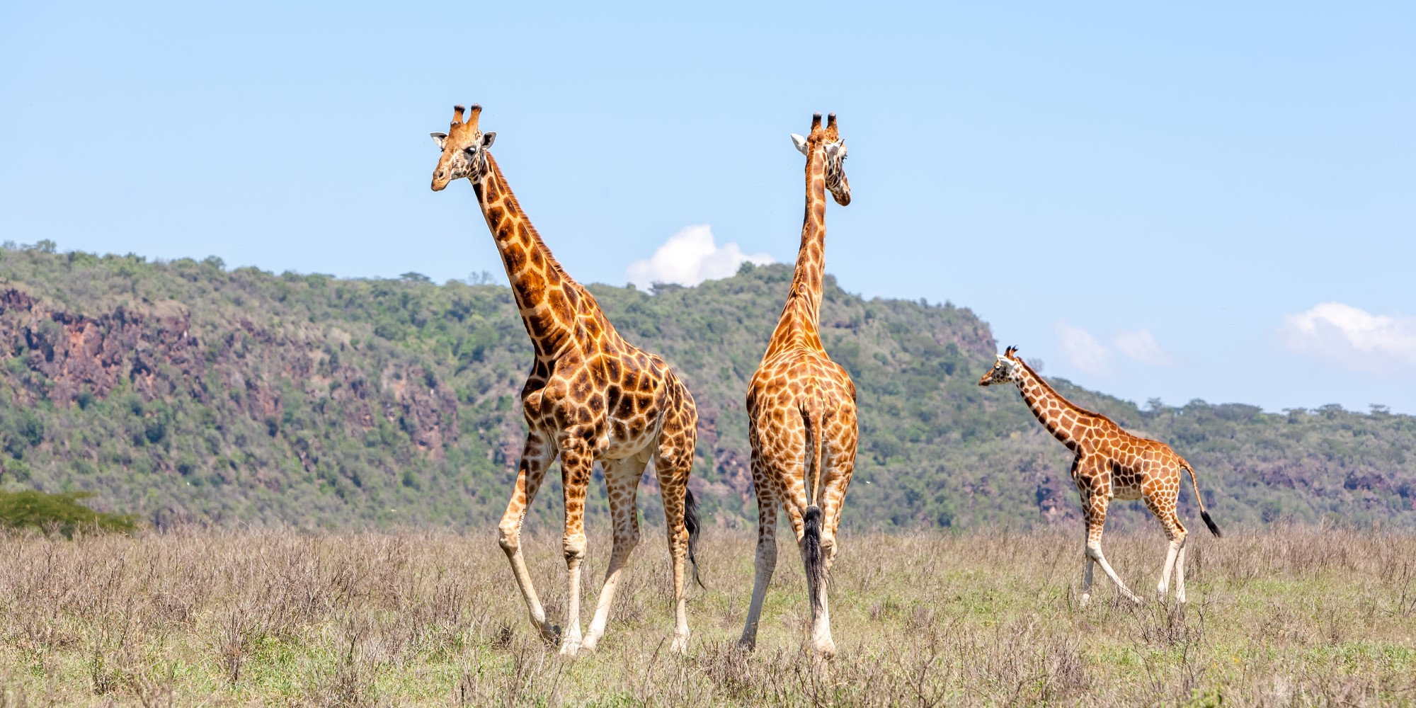 kenia viajar con niños vctf