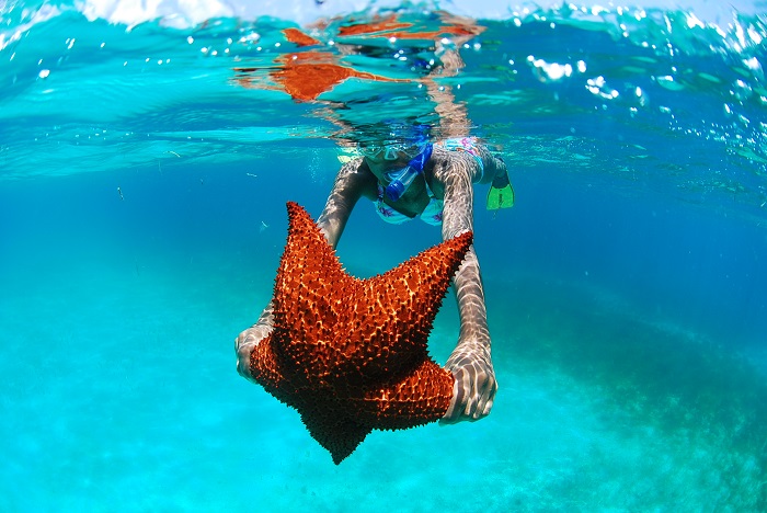 isla saona