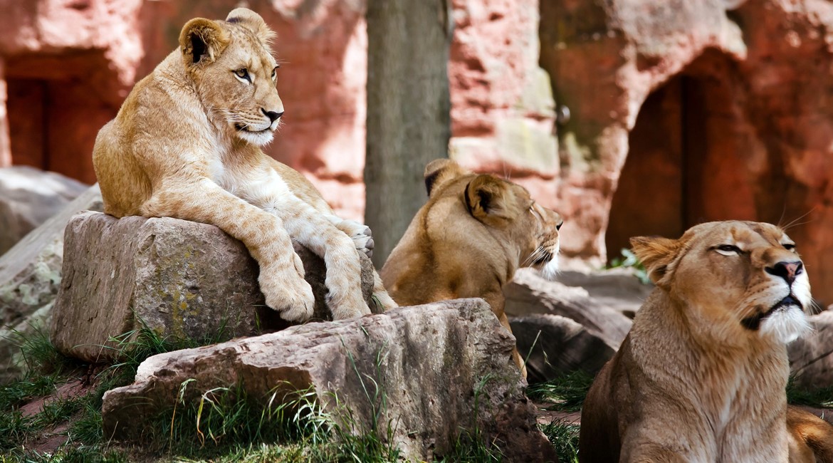kenia top20 viajes