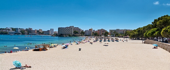 mallorca vctf