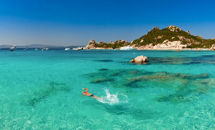 nadando sardinia