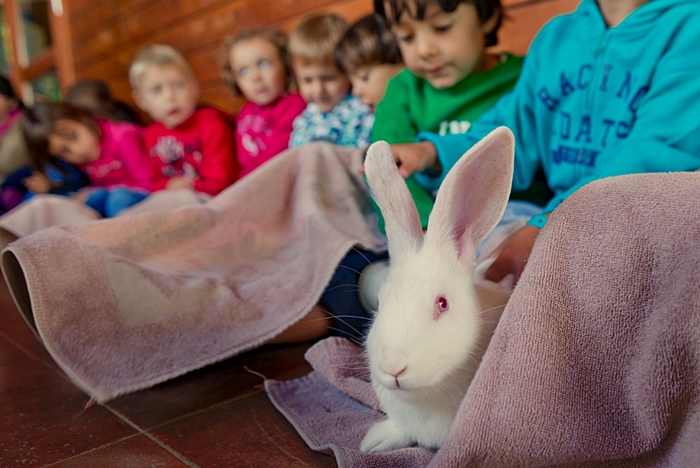 puente diciembre vilar rural donde ir de vacaciones con hijos