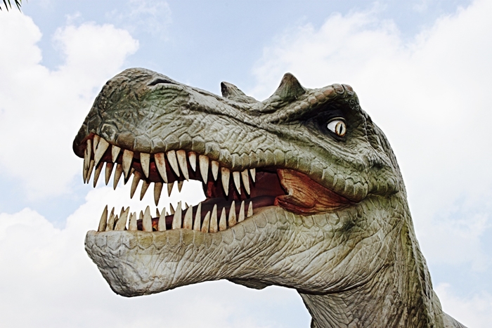 ruta dino vctf 03