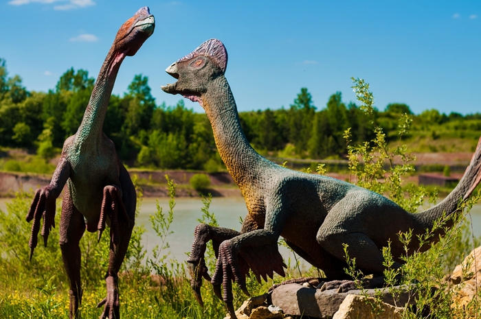 ruta dino vctf 07
