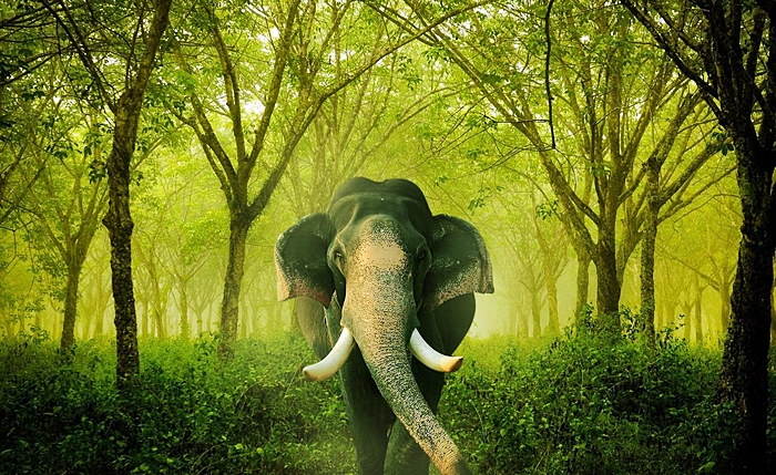 thailandia milenaria viajar con hijos