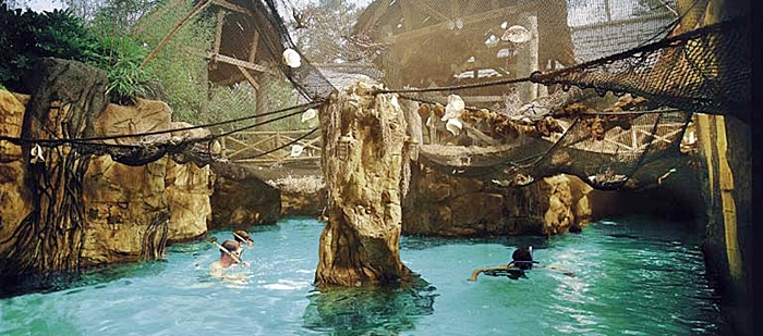 vacaciones en familia parque erperheide belgica