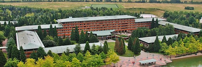 viajes para familias sequoia